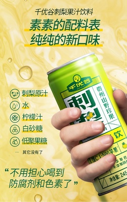 千优谷刺梨果汁饮料超值组 245ml*12罐箱/*4箱组