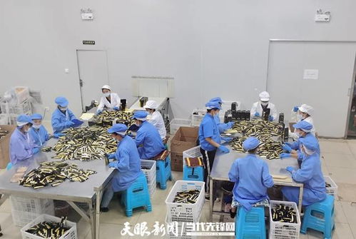 贵定 刺梨产业 5g智慧工厂 竣工 将实现产能储能倍数提升