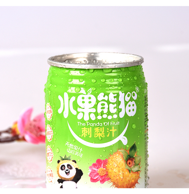 贵州特产水果熊猫刺梨汁饮料248MLX2.